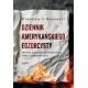 Dziennik amerykańskiego egzorcysty - Ks. Stephen J. Rossetti /patronat medialny MOC W SŁABOŚCI/